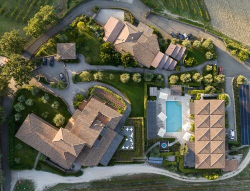 Padel & Wine, la proposta di Padel Team Up