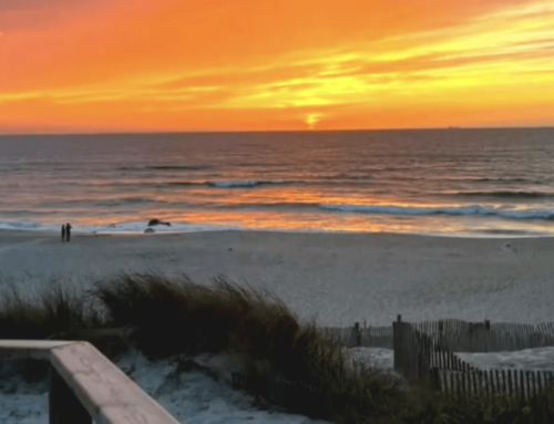 Le Baleari con Mallorca Padel Experience